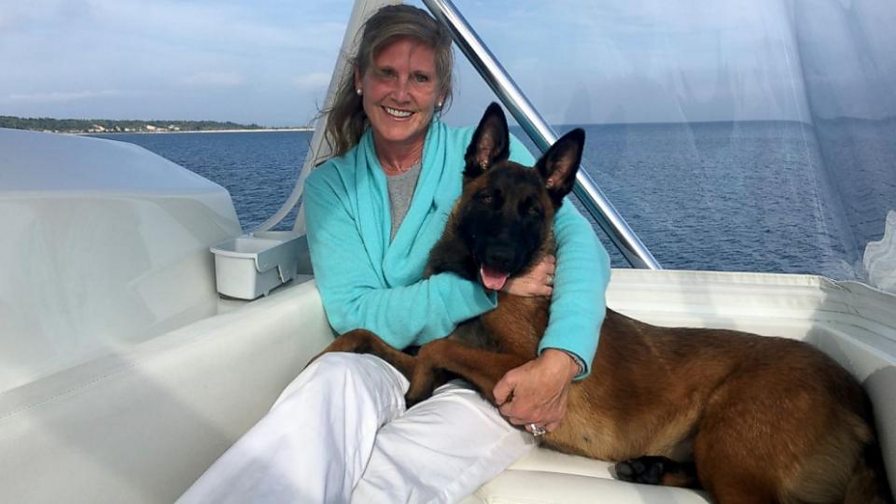 BBC World Service Newsday This Dog Swam For Ten Kilometers To 