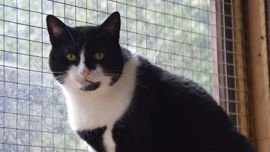 BBC Three Counties Radio - Sally Riceman