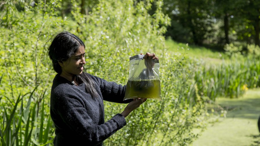 BBC One Invented in.., The East, How do you make filthy water drinkable?