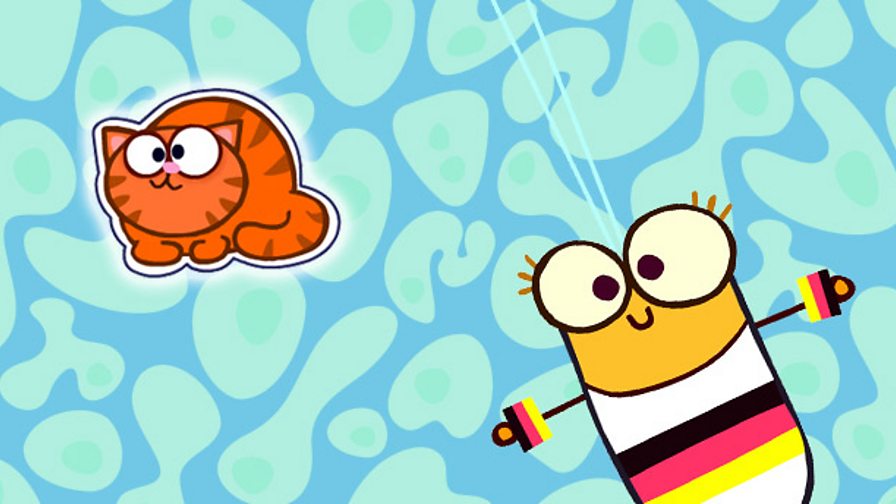 CBeebies Radio The Lingo Show