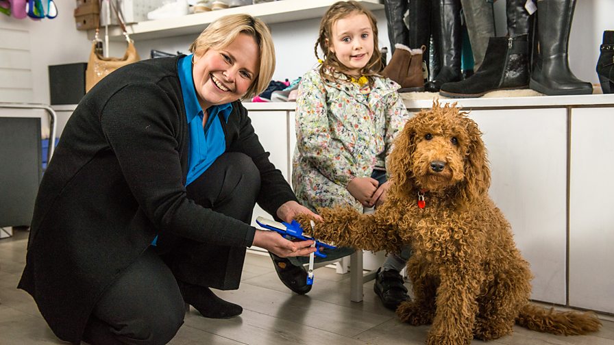 BBC Waffle the Wonder Dog Series 2