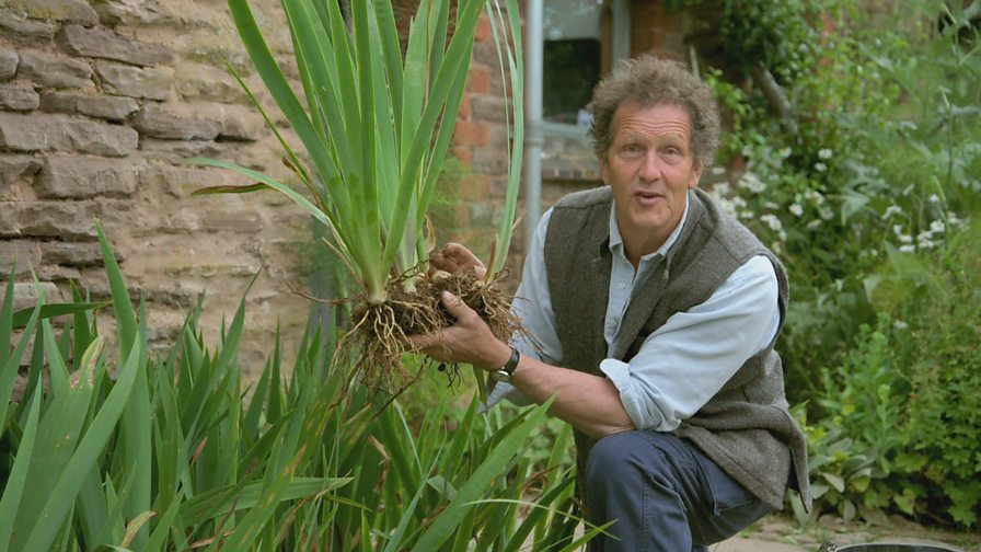 BBC Two - Gardeners' World, 2019, Episode 19, Summer sensations