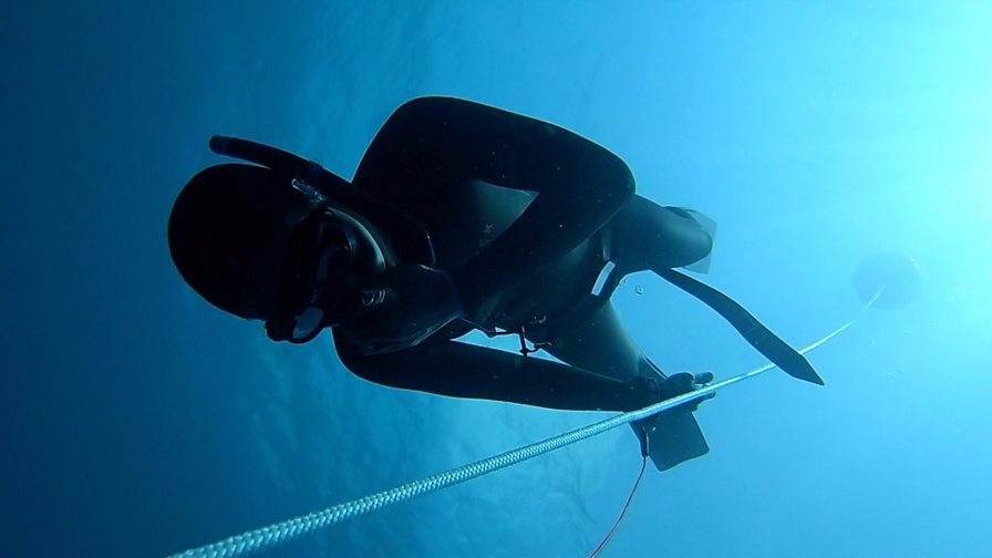 BBC World Service - Wellness, Freediving to relax: ‘All you can hear is ...