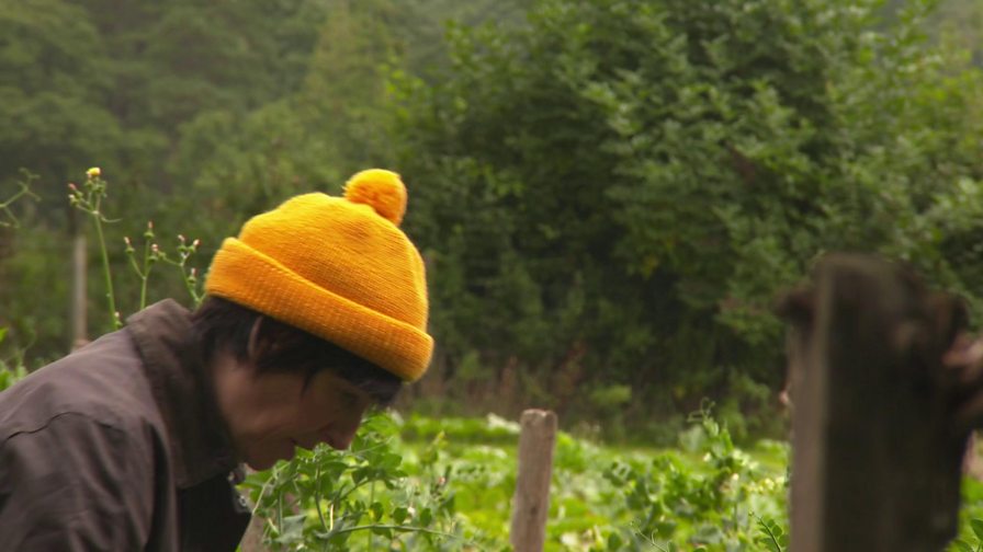 BBC Two RHS Chelsea Flower Show