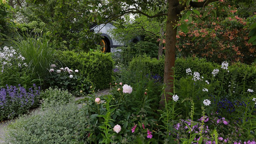 BBC Two - RHS Chelsea Flower Show