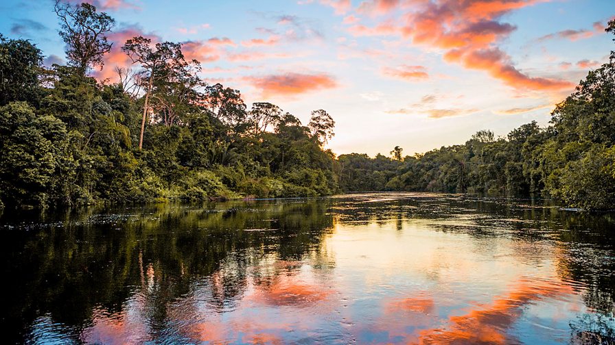 BBC Two - Earth's Great Rivers