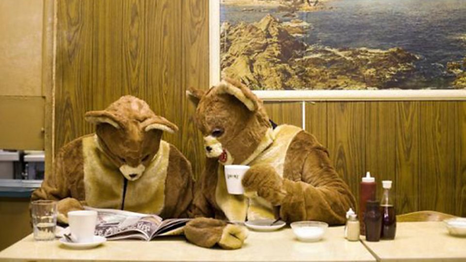 The 2 Bears