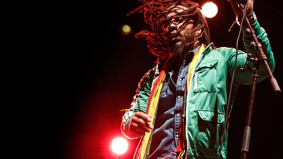 The Wailers Band