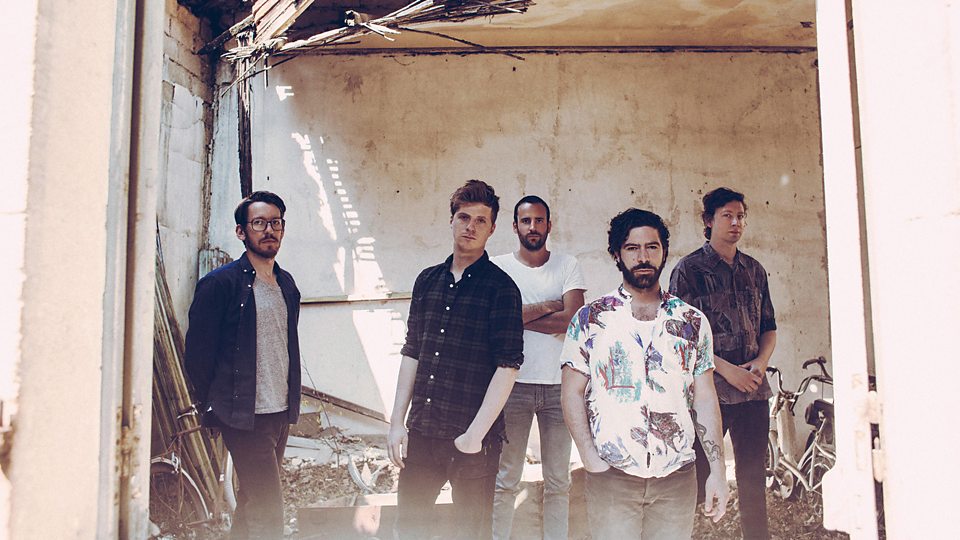 Foals