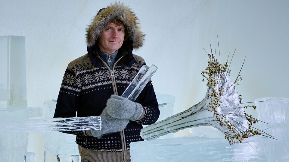 Terje Isungset