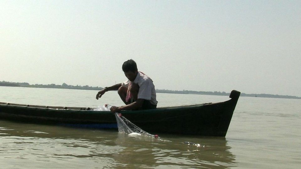 Dodávky Hilsa v řeky Irrawaddy jsou ohroženi více než rybaření