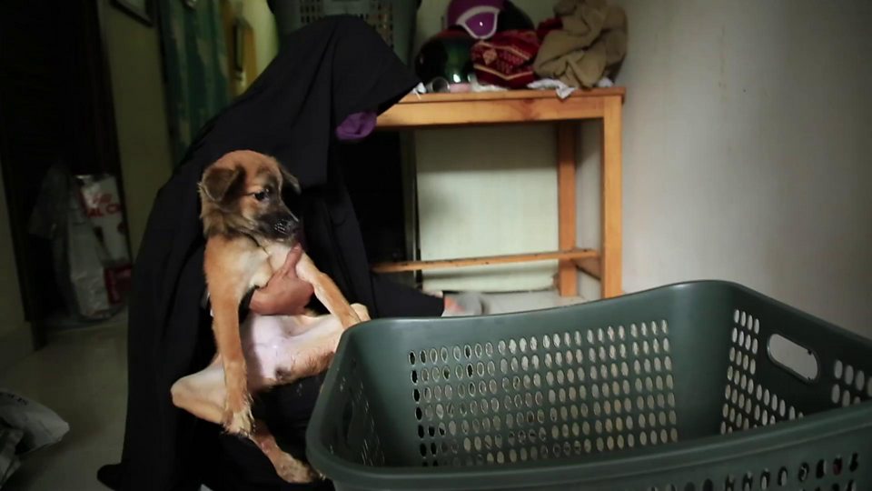 Hesti Perempuan Bercadar Penolong Anjing Disatroni Warga Namun
