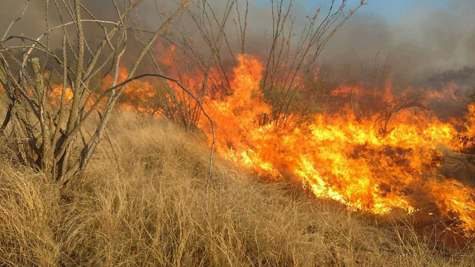 This baby gender reveal sparked a week-long US wildfire