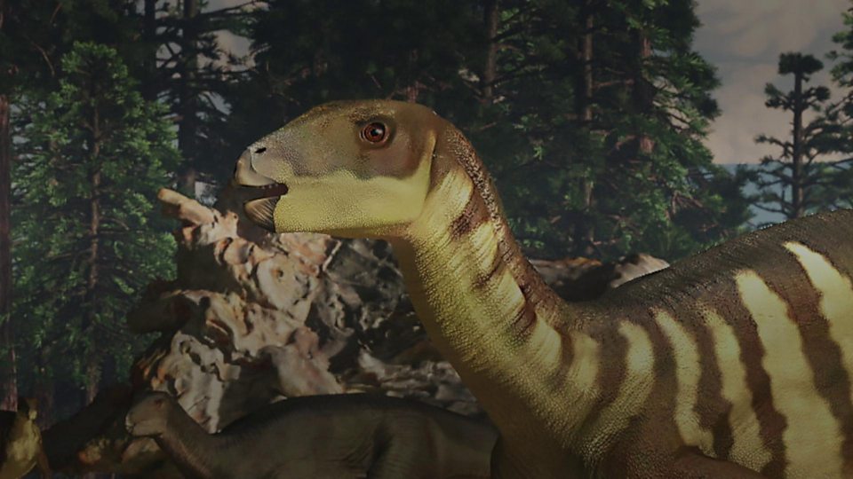 Galleonosaurus dorisae. fick sitt namn för att dess käke liknar ett uppochnervänt galeonskepp