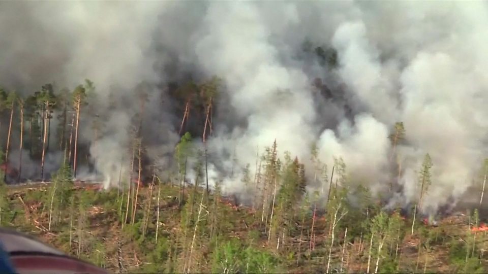 Seve Rosenberg, de la BBC, se rend dans la forêt pour voir comment les Russes s'attaquent aux incendies de forêt's Steve Rosenberg travels to the forest to see how Russians are tackling the wildfires