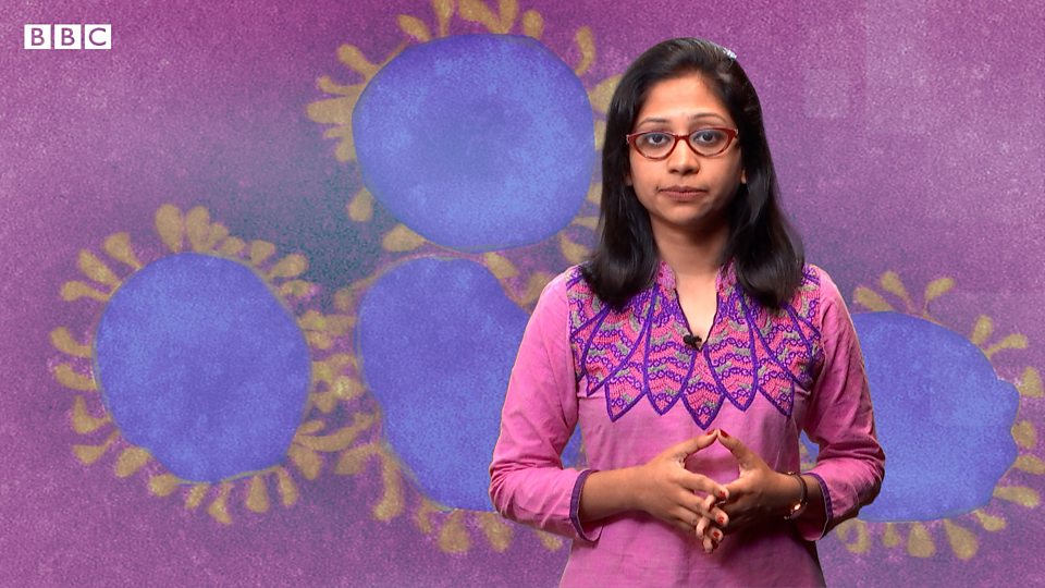 করোনাভাইরাস নিরাপত্তায় যে সতর্কতা প্রয়োজন