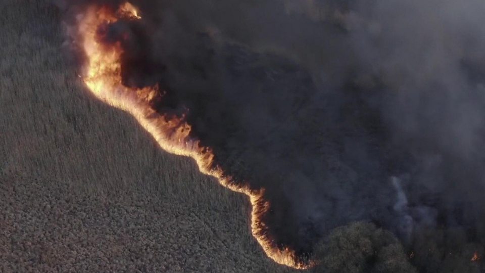 Footage zeigt Waldbrände in der Nähe der nuklearen Katastrophe Ort