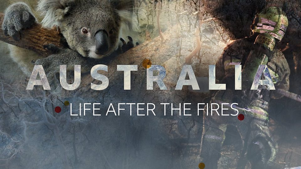 Newsround Special: Australia - La vida después de los incendios