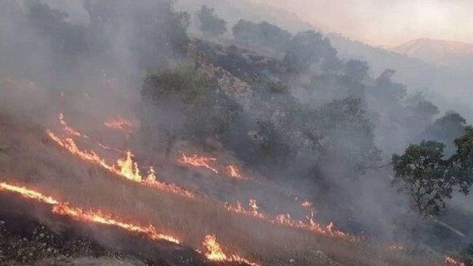آتشسوزی در جنگلهای خائیز شهرستان کهگیلویه