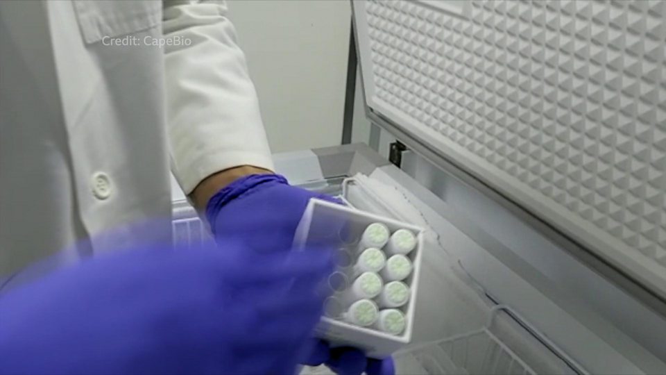 Le kit de diagnostic du coronavirus fabriqué en Afrique du Sud