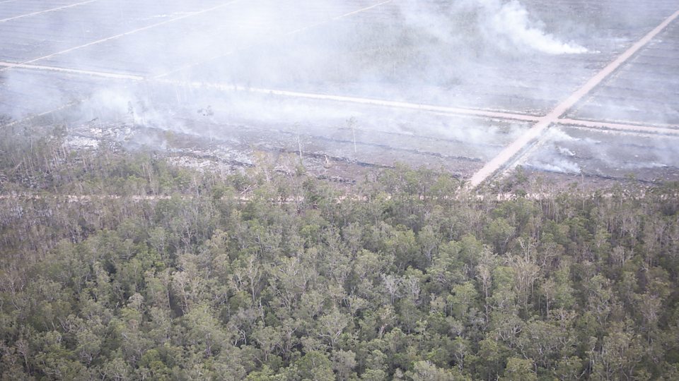 Watch how the Forensic Architecture Group established what was happening in Papua