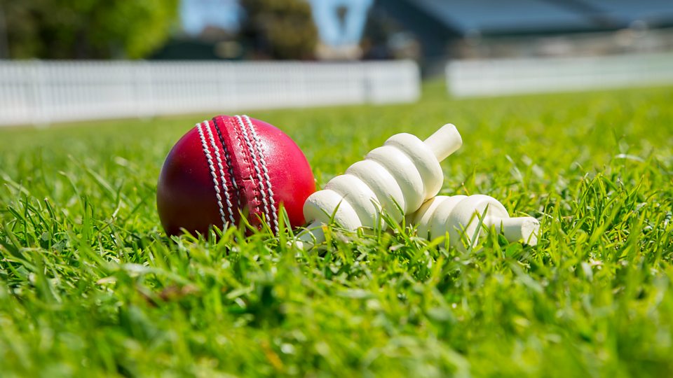 Leicestershire Foxes v Worcestershire Rapids