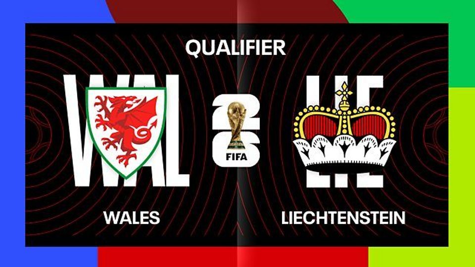 World Cup Qualifier: Wales v Liechtenstein