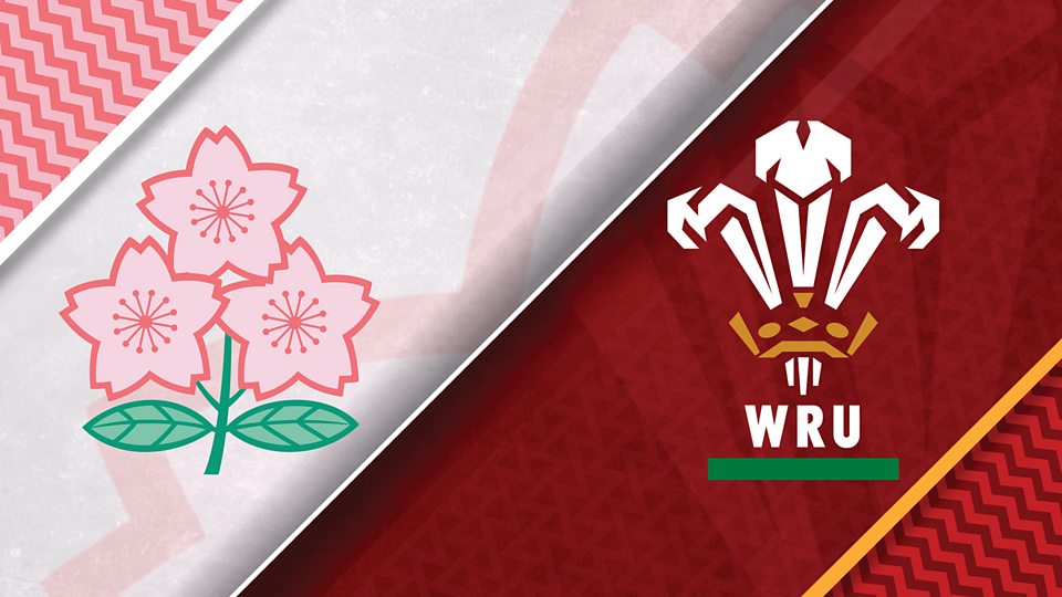 Japan v Wales