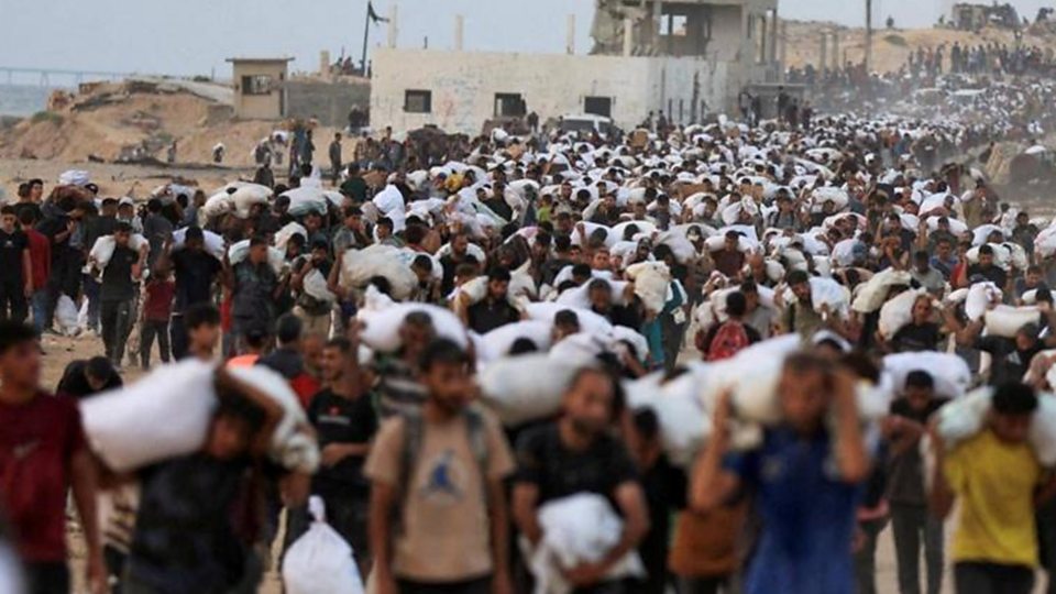 BBC Experts Answer Your Questions on Gaza