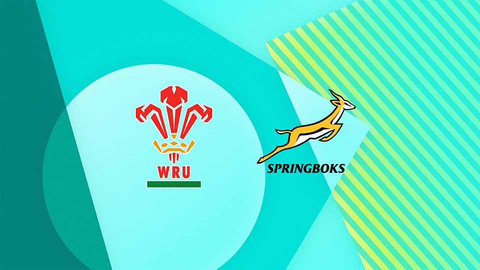 Wales v South Africa