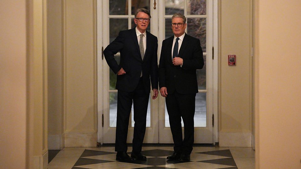 PM Told of Mandelson 'Reputational Risk' Before Appointment