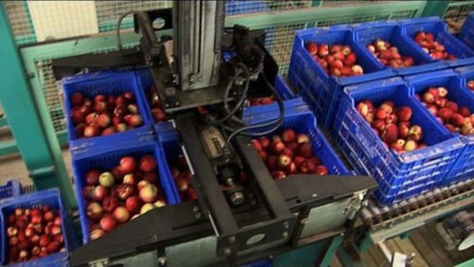 BBC Two Being Spanish, Picking fruit on a farm in Spain