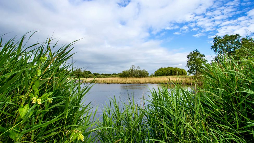 BBC One Britain's Big Wildlife Revival, Wetlands