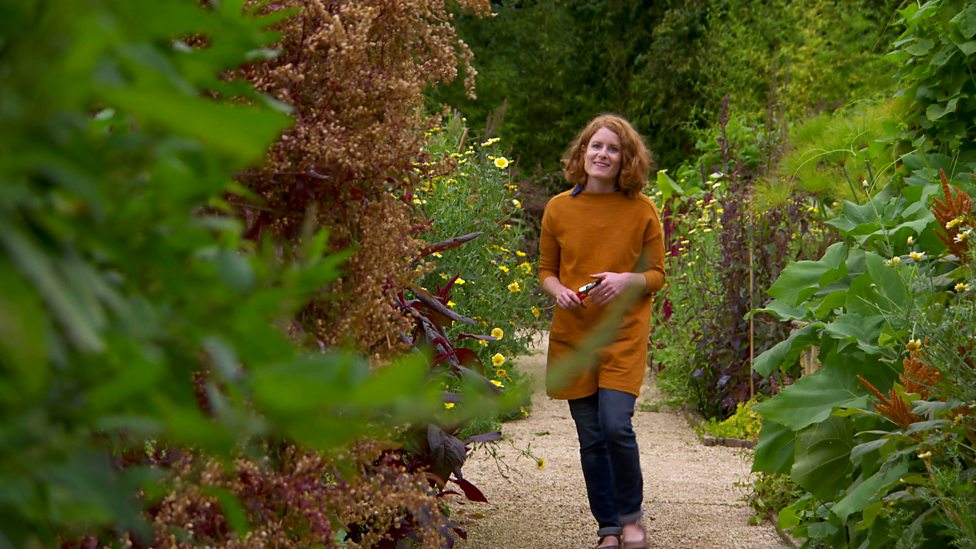 BBC Two - Great British Garden Revival, Series 1, Herbaceous Borders ...