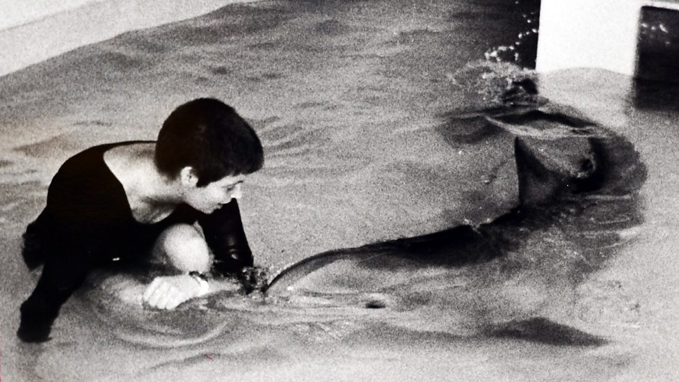 Bbc Four The Girl Who Talked To Dolphins Dealing With A Dolphin S Urges