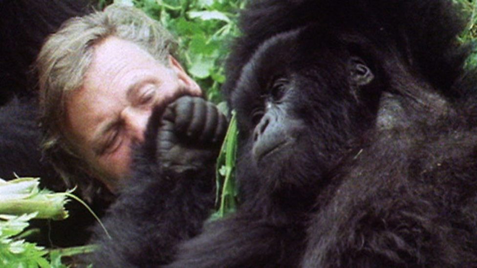 BBC Two - Life on Earth, Life in the Trees, David Attenborough ...