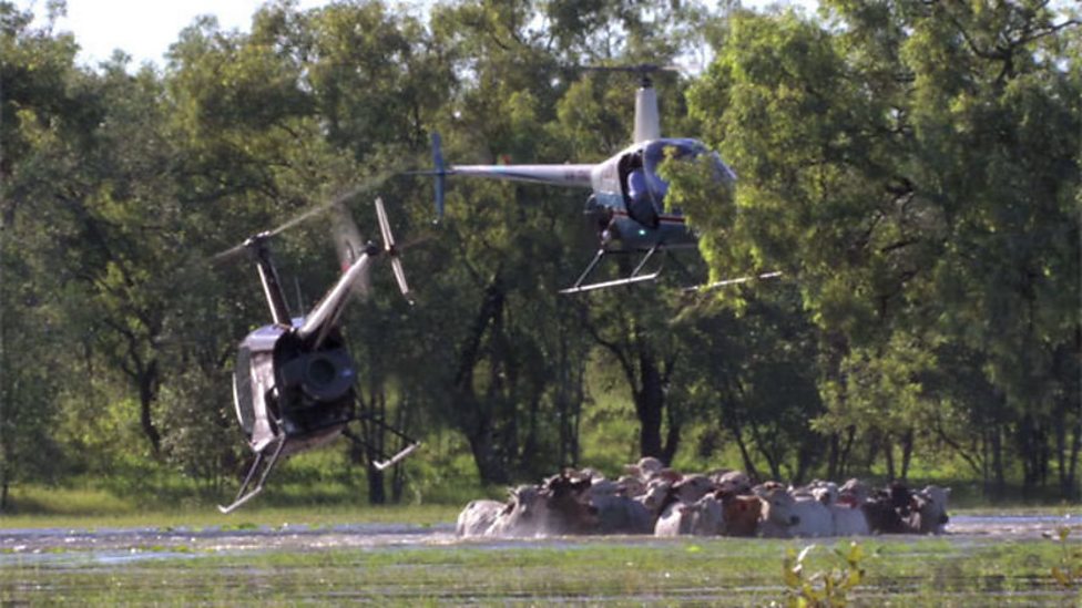 Image result for Helicopter Cowboy