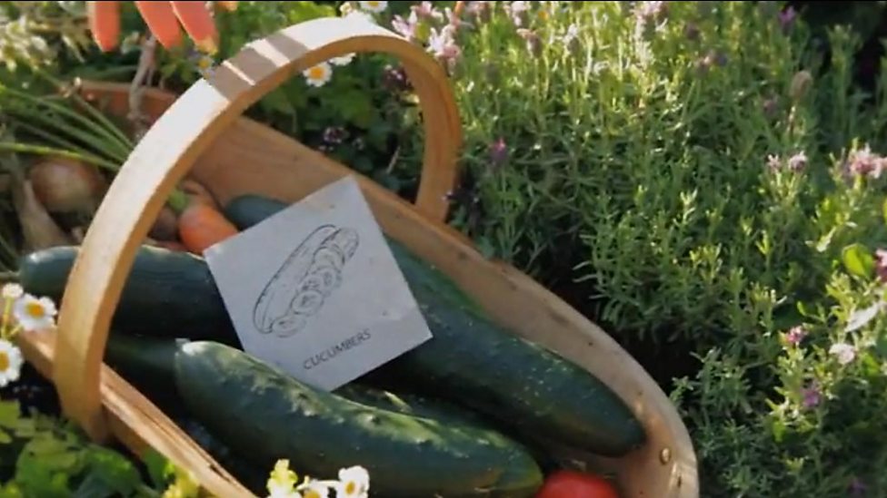 BBC Two The Big Allotment Challenge, Series 2, Episode 2, Grown your