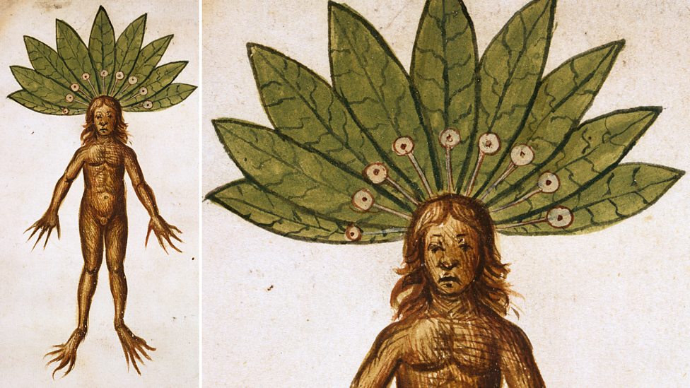 BBC Radio 4 Natural Histories, Nightshades Meet the nightshade family