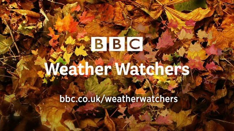 BBC One Look North (Yorkshire), Weather Watchers