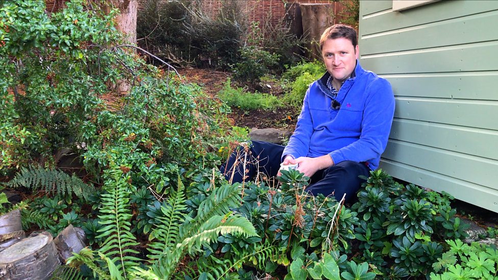 BBC Radio Ulster Gardeners' Corner, Wildlife Friendly Garden