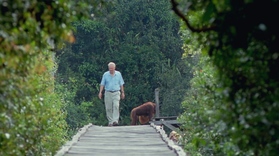 BBC One Seven Worlds, One Series 1, Asia, Attenborough's