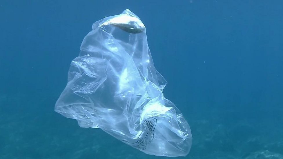 BBC Four - Ocean Autopsy: The Secret Story of Our Seas, Plankton