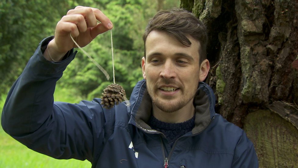 BBC How to make a bird feeder