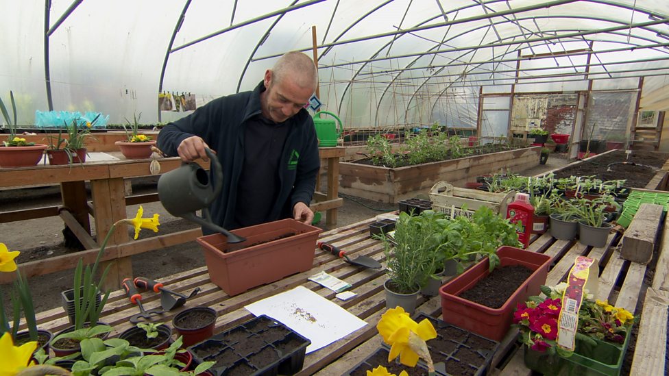 BBC Planting seeds and planting on