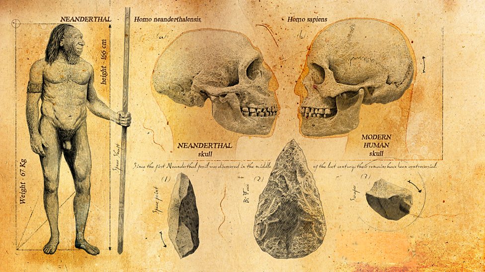 Bbc Two Ice Age Giants In Pictures The Ice Age Giants Eurasian