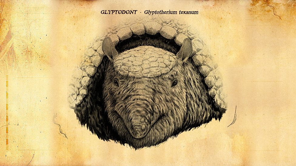 Bbc Two Ice Age Giants In Pictures The Ice Age Giants Glyptodont