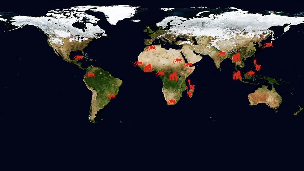 BBC One Monkey Planet Monkey Planet S World Map Primates Across   P01w4yv8 