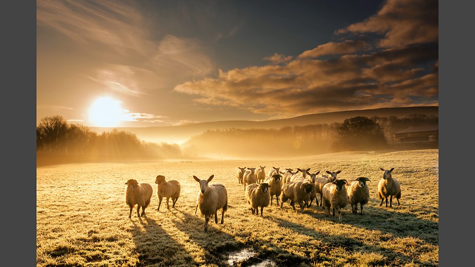 BBC The Countryfile Calendar Photographs January