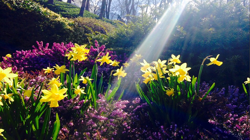 BBC North Yorkshire weather picture gallery Cirrus cloud over Eggleston